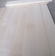 1 Stück Berg Ahorn Neck