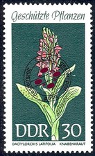 1461 Heimische Pflanzen Knabenkraut 30 Pf O gestempelt