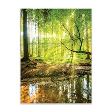 Poster Wald Natur 30x40 / 50x70 / 70x100 Hochformat OHNE RAHMEN XXL Wandposter
