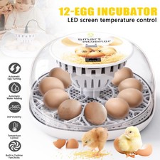 12 Eier Automatischer