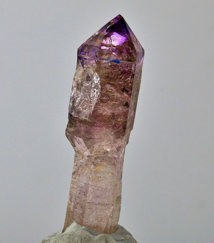 Schaustufe zepter amethyst - schaustufe, zepter-amethyst