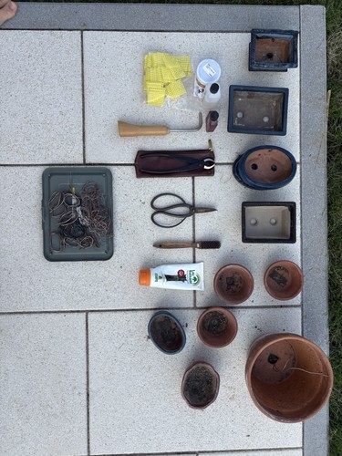 Bonsai set inkl werkzeug - inkl.,
