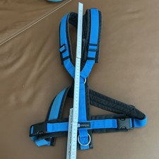 AnnyX Brustgeschirr Fun blau Hundegeschirr Anny X Geschirr