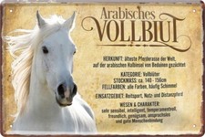 Blechschild 20x30 Arabisches