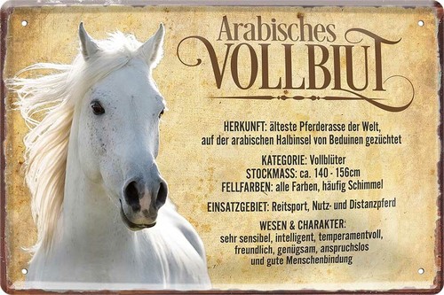 Blechschild 20x30 arabisches - blechschild,