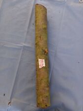 Pflaumenbaum alte Sorte Holz Drechselholz 56cm Pflaume frisch Grünholz schnitzen