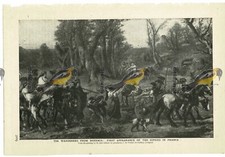 Wanderböhmen, Erste Zigeuner