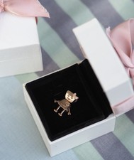 Pandora Rose Charm Bella Bot