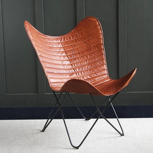 Buffalo leder schmetterling - buffalo,