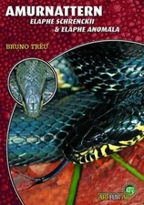 Bruno Treu | Amurnattern -