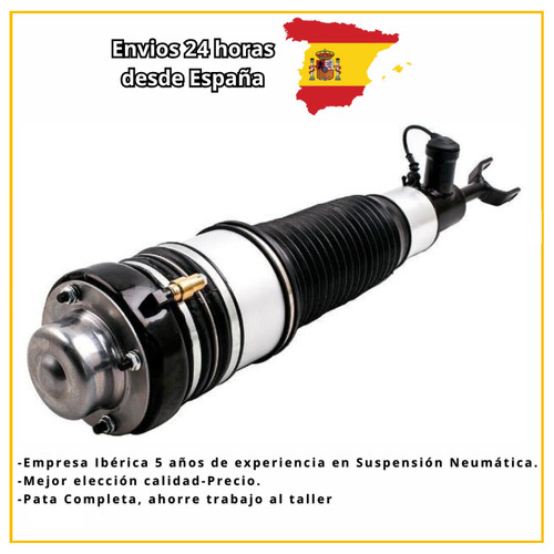 Teleskopbein audi 4f0616040 - teleskopbein,