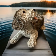 Hund Dackel Lebensecht