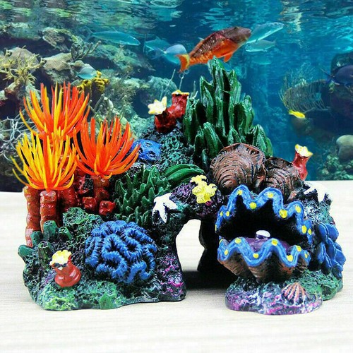Aquarium deko korallenriff - aquarium,
