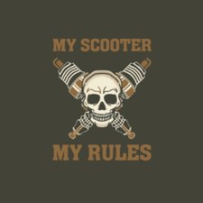 Vespa Lambretta Roller Scooter