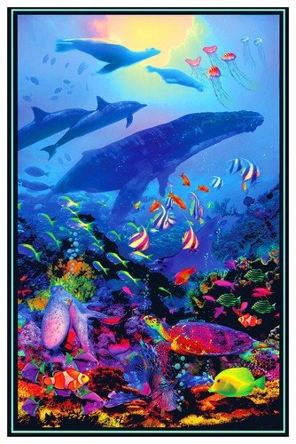 Ocean life tropical - ocean,