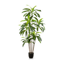 PASCH® Dracaena Kunstpalme