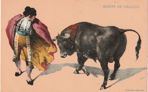 Stierkampf spanien - in,
