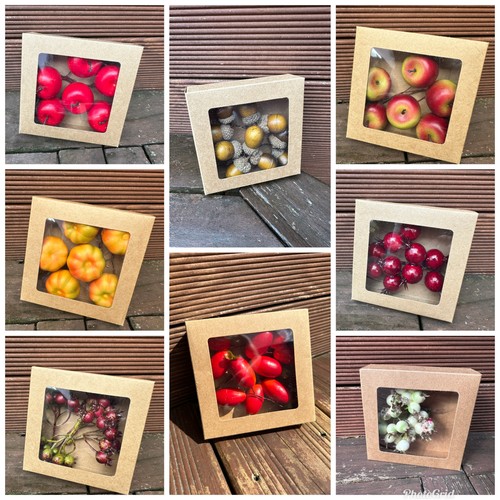 Herbstdeko obst früchte - &,