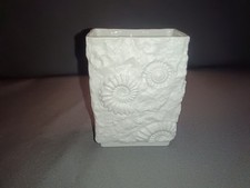 Ak Kaiser Porzellan Vase Fossilien Muscheln  179 M.Frey