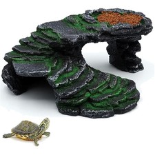 Schildkrötenplattform