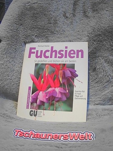 Fuchsien gedeihen und - fuchsien, :