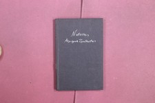 394923 Friedrich Nietzsche