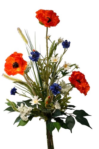 Wiesenblumen