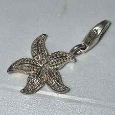 925 Silber-Anhänger/ Charm