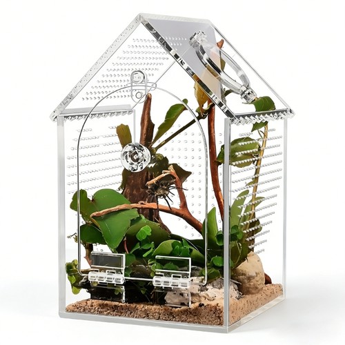 Clear acrylic reptiles - acrylic,