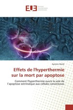 Aymeric Morlé | Effets de