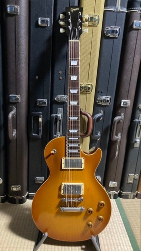Neuwertige sammlung les paul - sammlung,