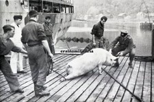 REPRO Negativ Foto U-Boot