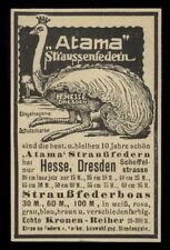 Alte Reklame Werbung 1909 Atama Straußenfedern Straußfederboas H. Hesse Dresden