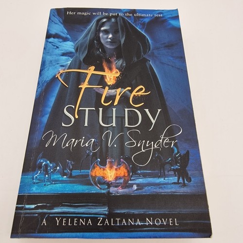 Fire study fantasy adventure - study,