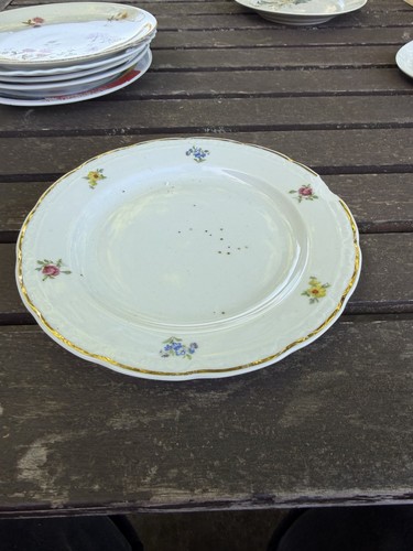 Apulum fine porcelaine teller - fine,