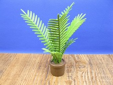 Zimmerpalme Palme Zubehör