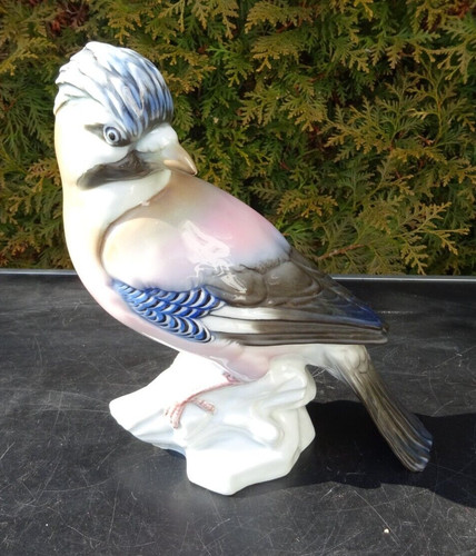 Vogel blauhäher ens 23 cm - blauhäher,