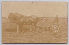 RPPC Pferdemäher mit