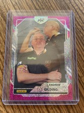 Panini pdc world - pdc,