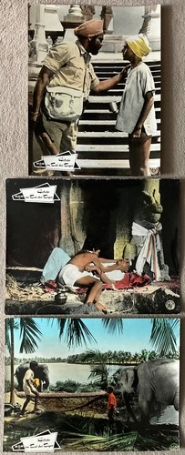 Gefahr tal der tiger clint - tiger,