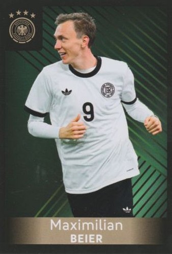Panini family ferrero dfb - family,