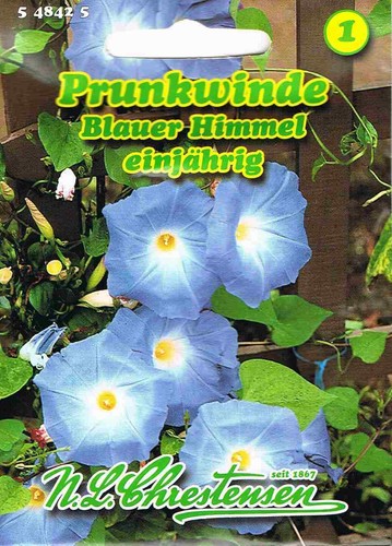 Kaiserwinde prunkwinde blauer - kaiserwinde,