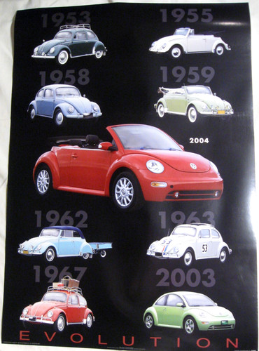 Käfer evolution poster - kÄfer,