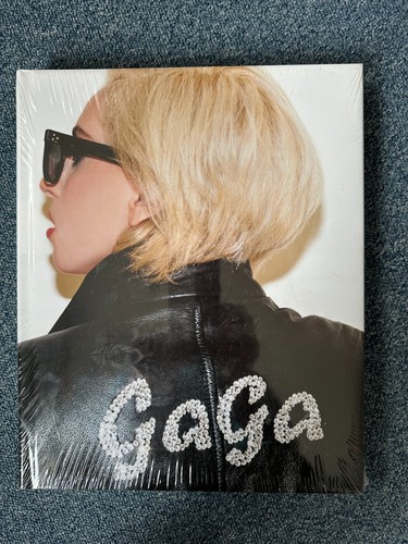 Buch lady gaga terry - lady,