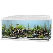 Ciano Aqua 85 LED Tank weiß