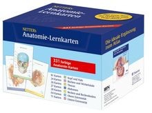 Netters anatomie lernkarten - netters, anatomie-lernkarten