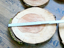 5 Holzscheiben Apfelbaum
