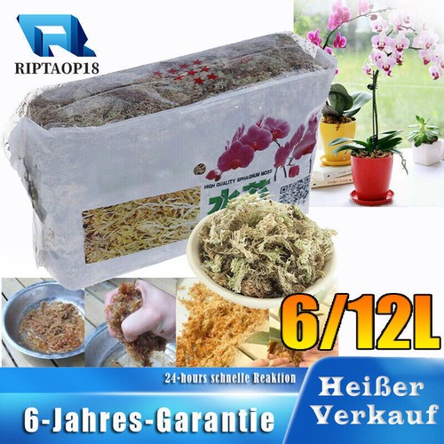 Sphagnum moos wassermoos - sphagnum,