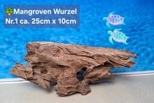 🌴 Mangroven Aquarium🗿