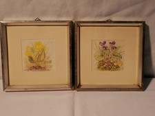 2 alte botanische Kunstdrucke